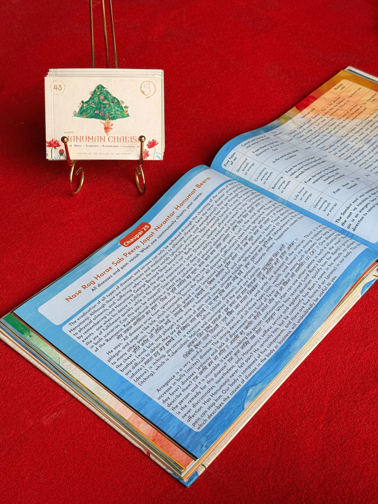 Happy Hanuman Therapy Book (English)