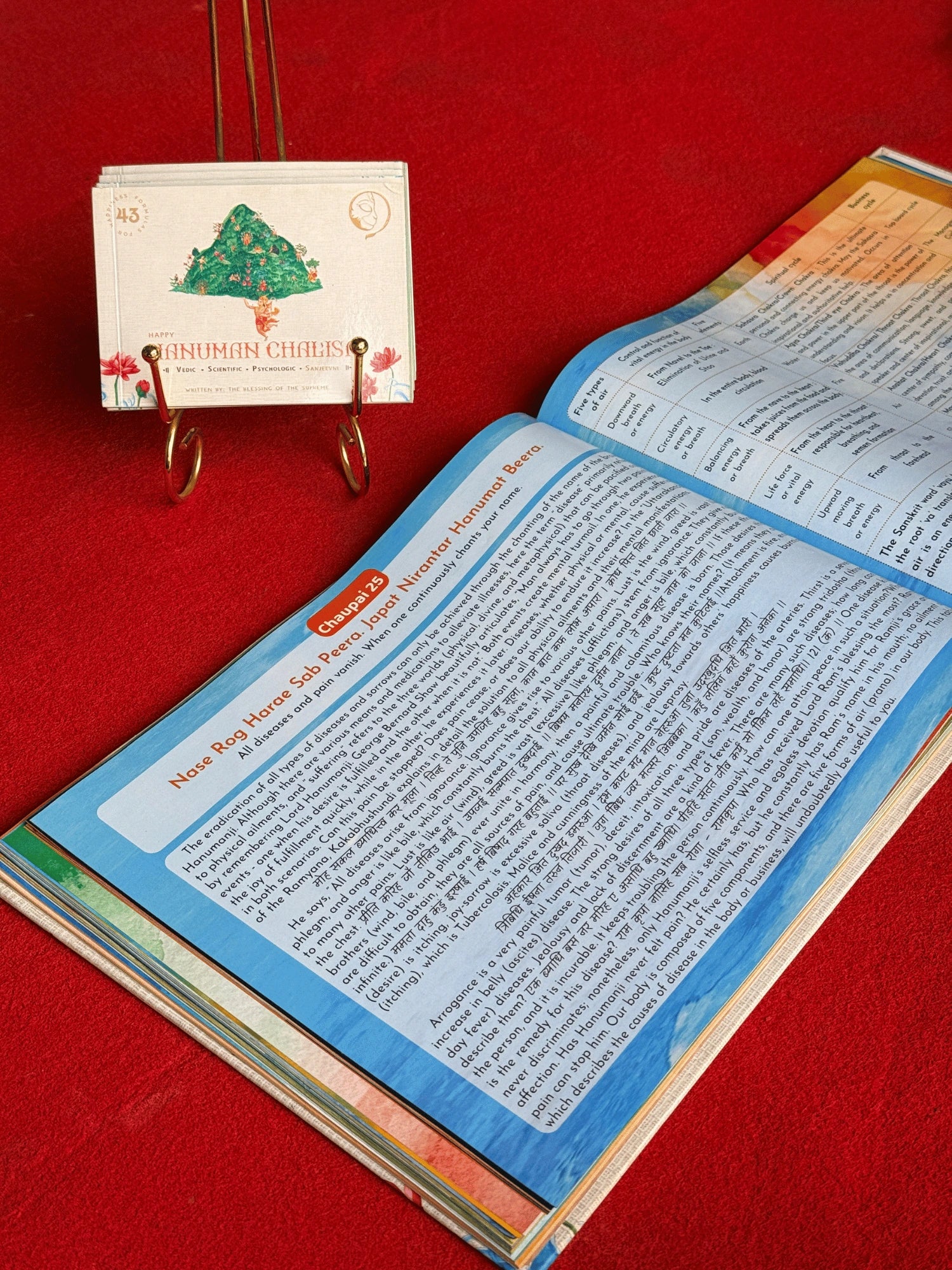 Happy Hanuman Therapy Book (English)